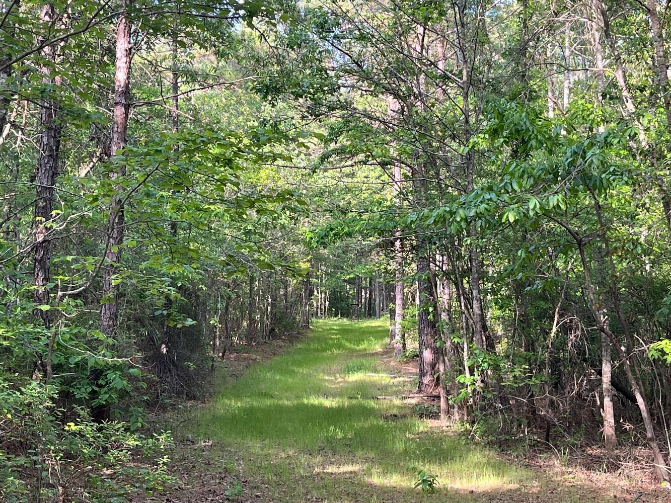 170 Acres of Recreational Land for Sale in De Kalb, Mississippi
