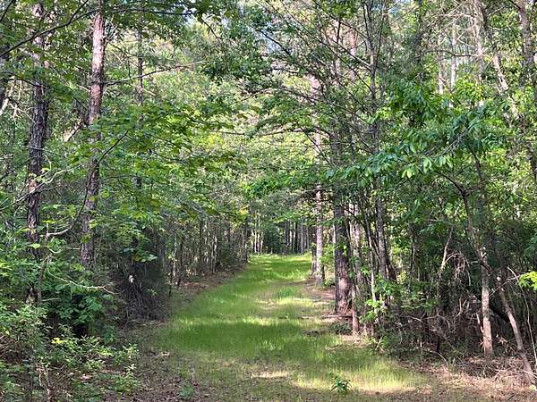 170 Acres of Recreational Land for Sale in De Kalb, Mississippi