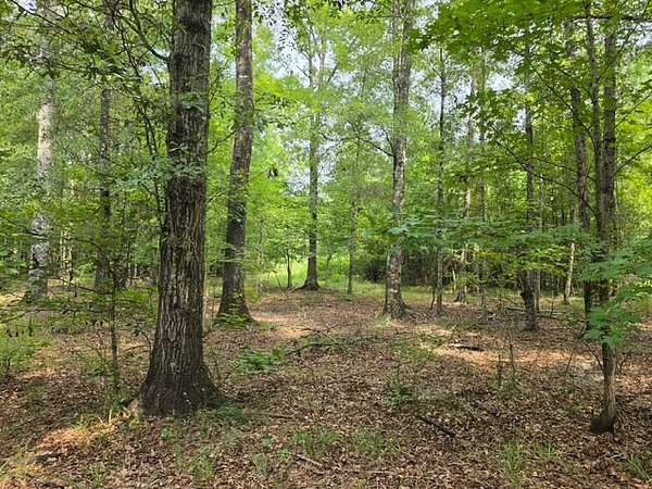 86.2 Acres of Land for Sale in Lowndesboro, Alabama