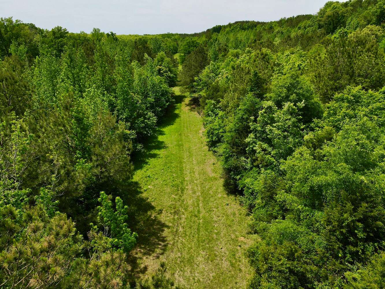 240 Acres of Recreational & Residential Land for Sale in Millport, Alabama