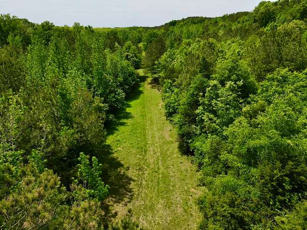 240 Acres of Recreational & Residential Land for Sale in Millport, Alabama