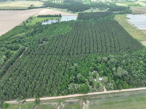47 Acres of Recreational & Residential Land for Sale in Ville Platte, Louisiana