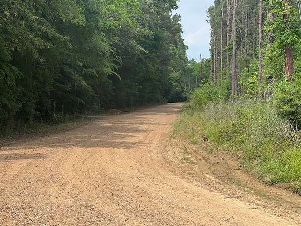 32 Acres of Recreational & Residential Land for Sale in Ville Platte, Louisiana