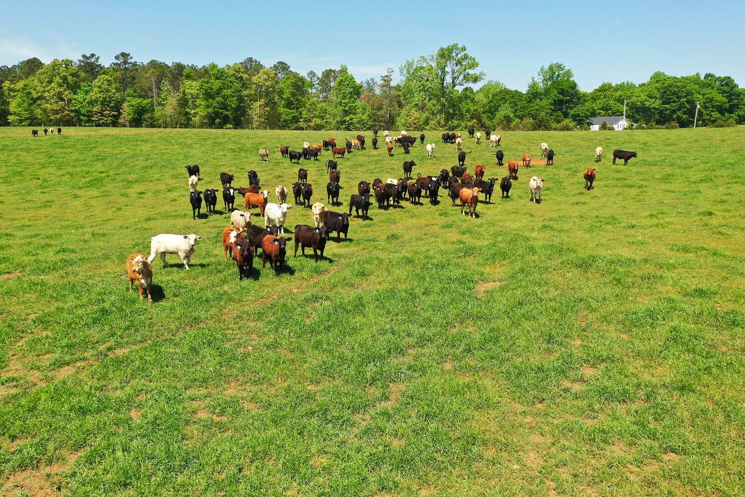 10 Acres of Land for Sale in Due West, South Carolina