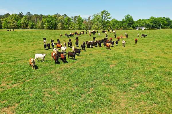 10 Acres of Land for Sale in Due West, South Carolina