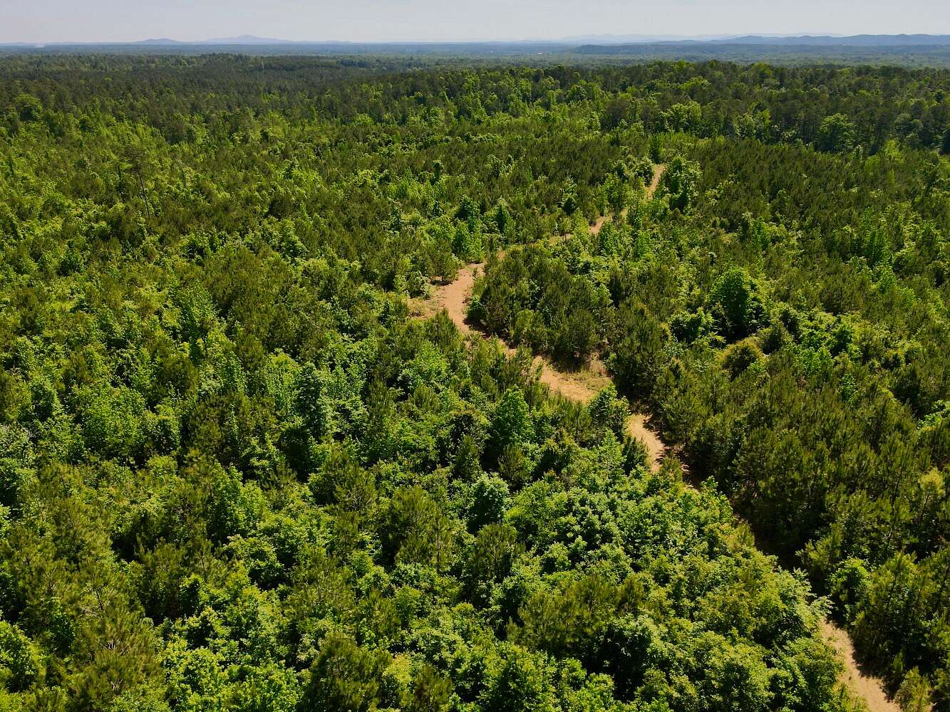 82 Acres of Recreational Land for Sale in Wilsonville, Alabama