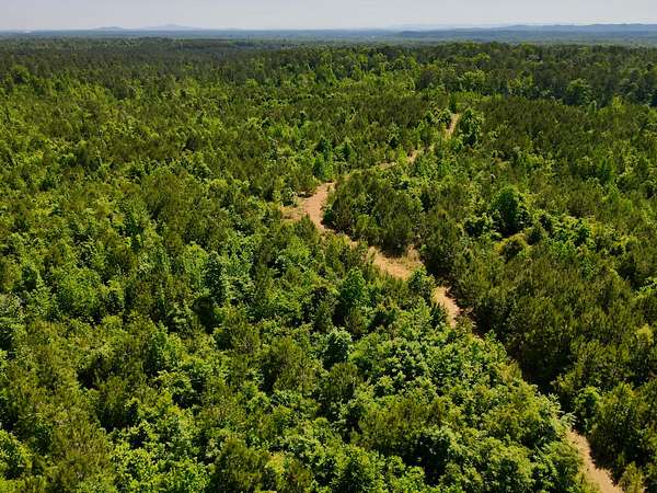 82 Acres of Recreational Land for Sale in Wilsonville, Alabama