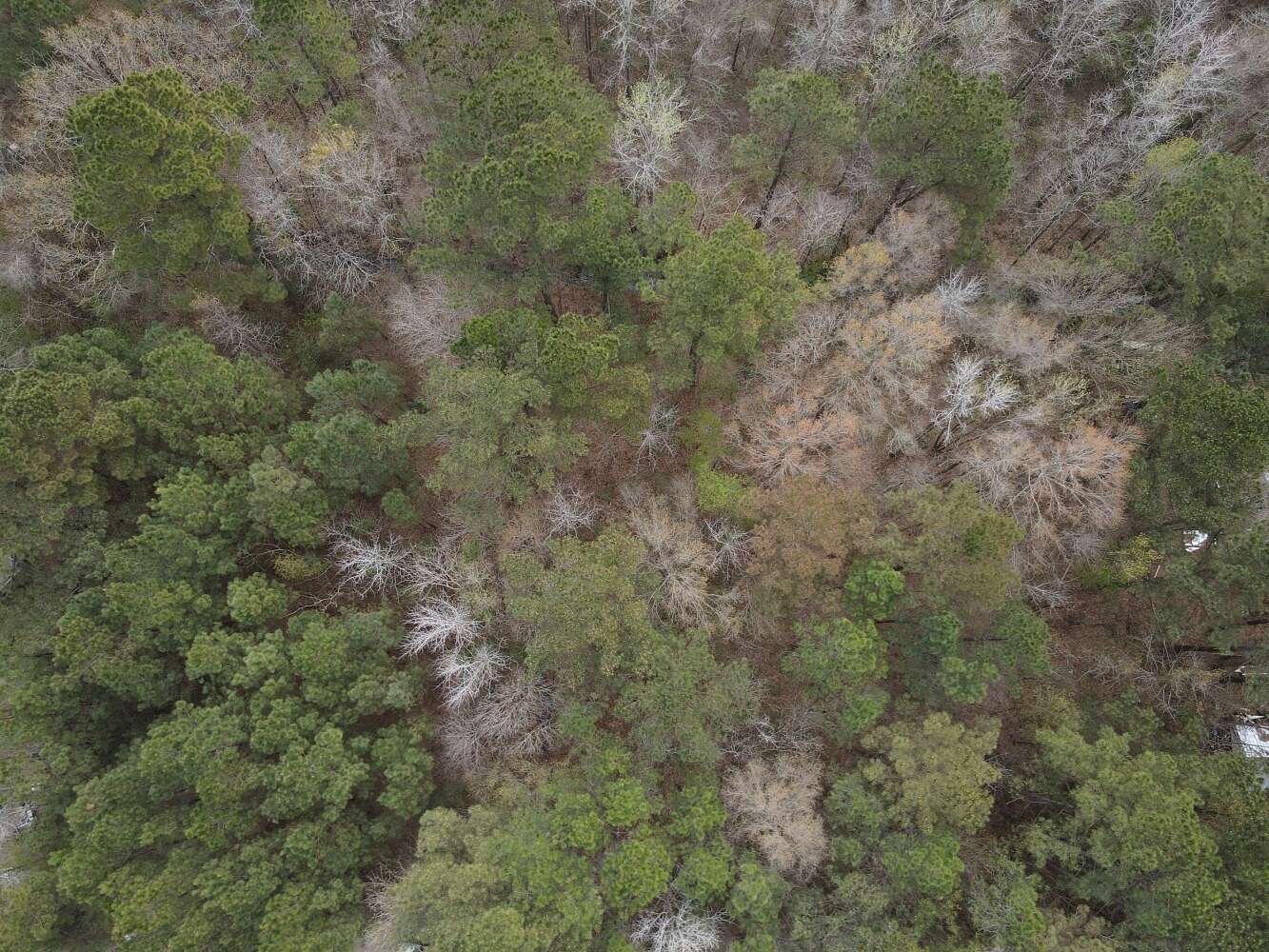 0.99 Acres of Land for Sale in Maple Hill, North Carolina