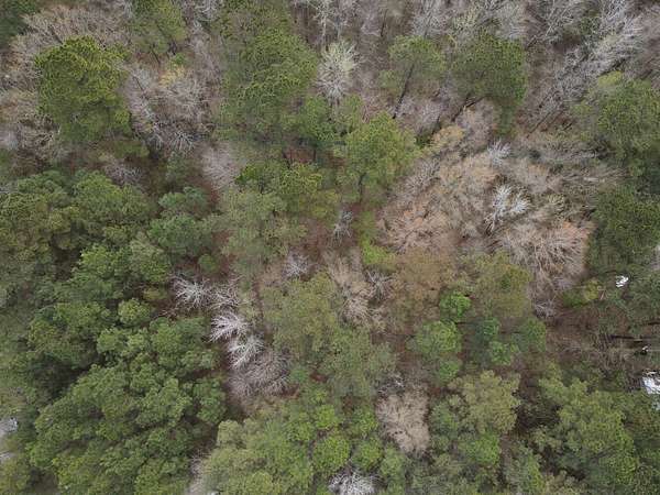 0.99 Acres of Land for Sale in Maple Hill, North Carolina