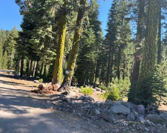 160 Acres of Recreational Land for Sale in Viola, California