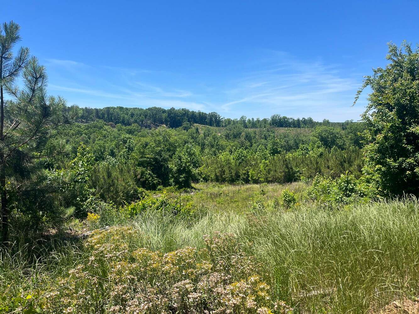 35 Acres of Recreational & Residential Land for Sale in Hamilton, Alabama