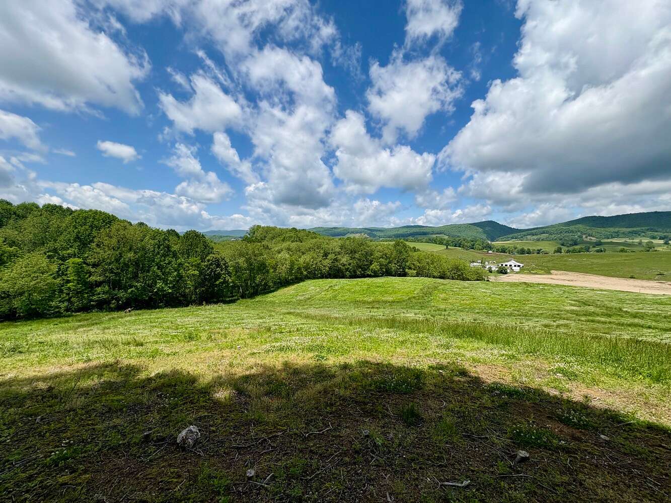 36 Acres of Recreational & Residential Land for Sale in Sugar Grove, Virginia