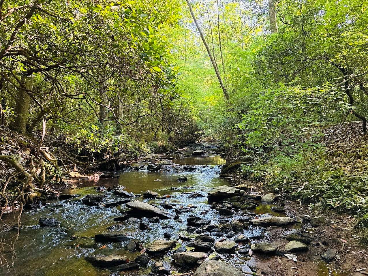 4.64 Acres of Residential Land for Sale in Ashland, Alabama