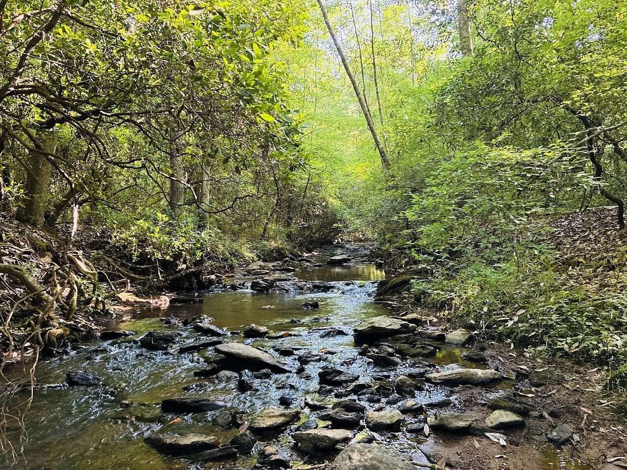 4.64 Acres of Residential Land for Sale in Ashland, Alabama