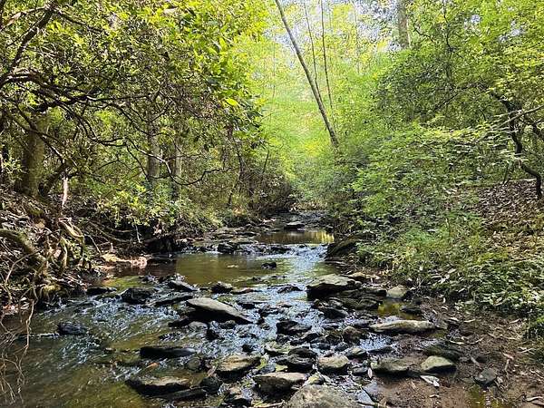 4.64 Acres of Residential Land for Sale in Ashland, Alabama
