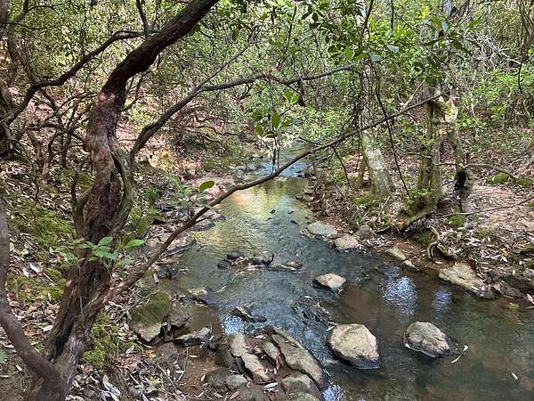 6.86 Acres of Residential Land for Sale in Ashland, Alabama