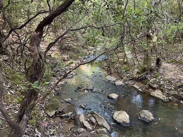6.86 Acres of Residential Land for Sale in Ashland, Alabama