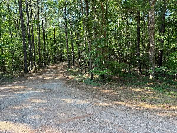 3.13 Acres of Residential Land for Sale in Ashland, Alabama
