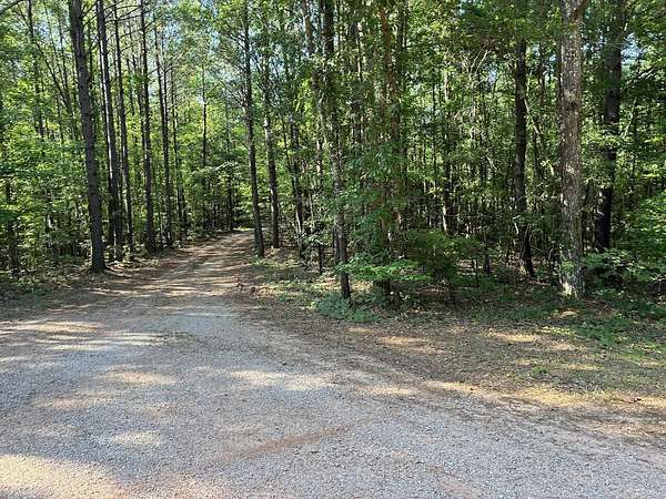 3.13 Acres of Residential Land for Sale in Ashland, Alabama