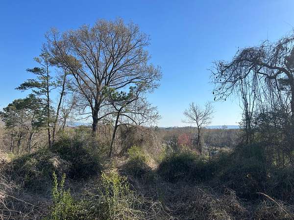 4.3 Acres of Residential Land for Sale in Stevenson, Alabama