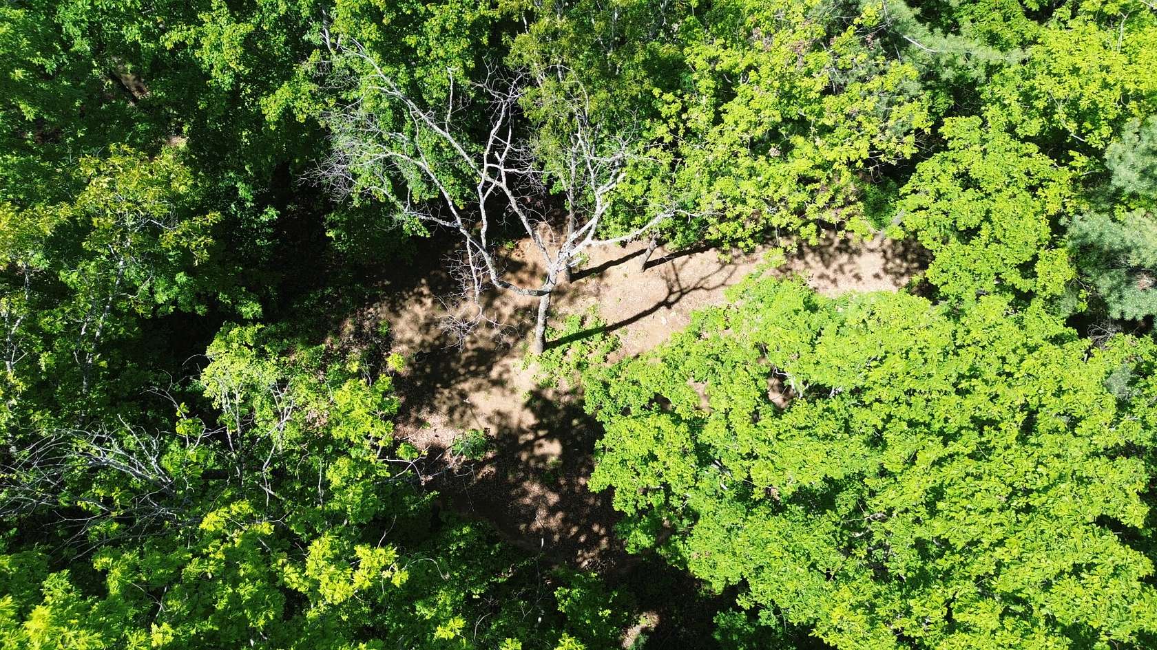 4 Acres of Residential Land for Sale in Weaverville, North Carolina