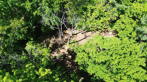 4 Acres of Residential Land for Sale in Weaverville, North Carolina