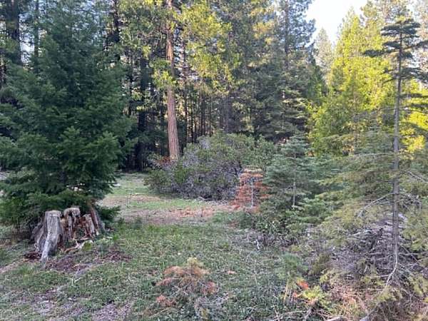 12.6 Acres of Recreational & Residential Land for Sale in Shingletown, California
