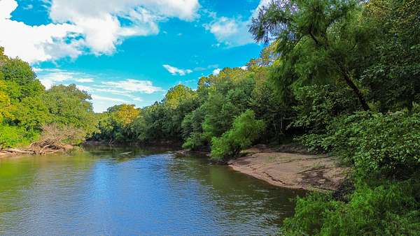 127 Acres of Land for Sale in Marion Junction, Alabama