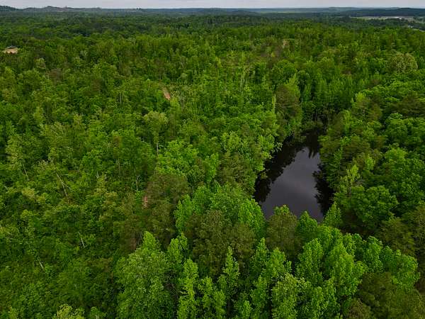 157 Acres of Recreational Land for Sale in Clanton, Alabama