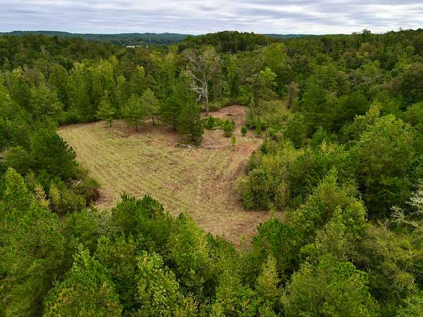 157 Acres of Recreational Land for Sale in Clanton, Alabama