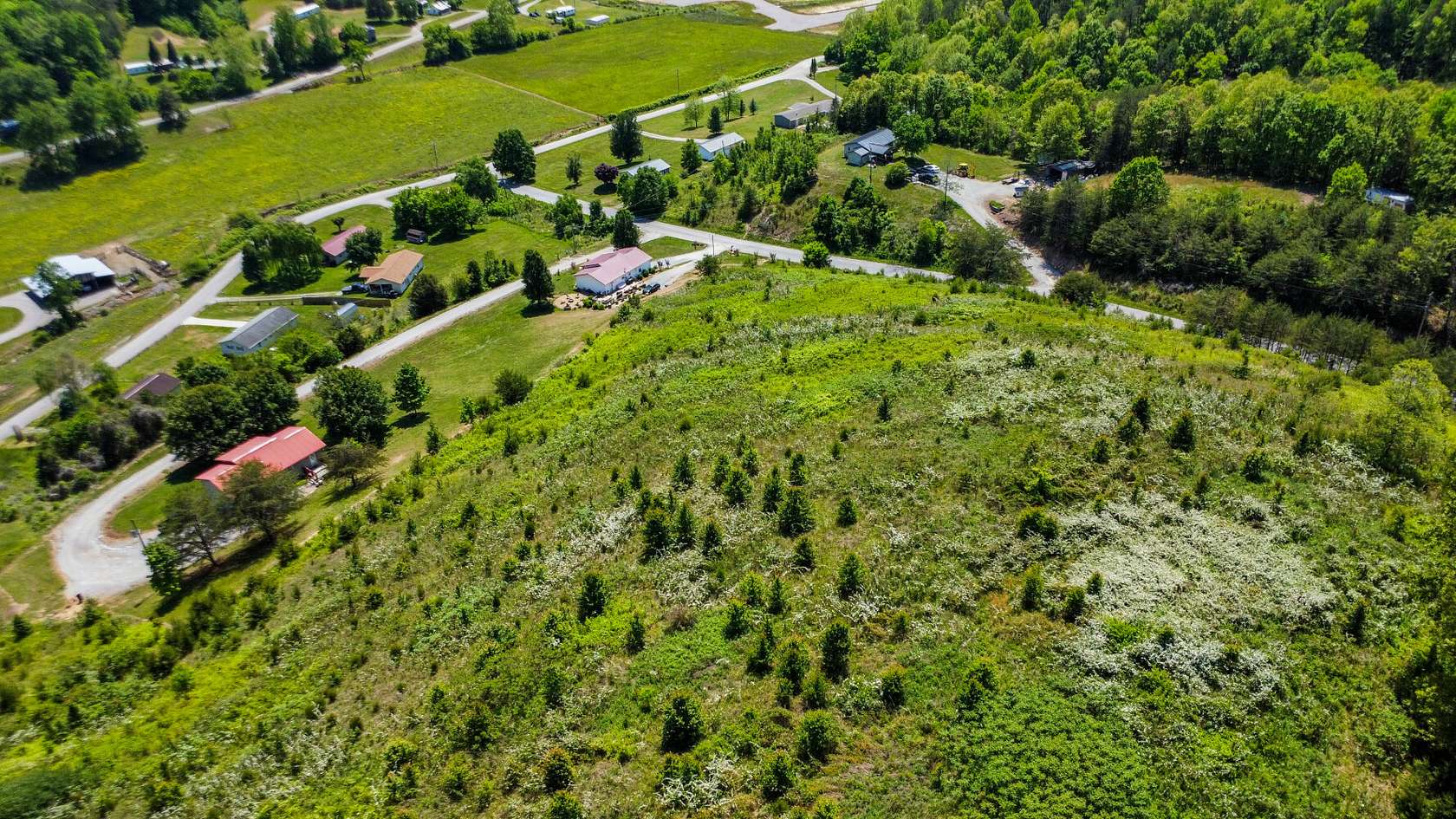 14.3 Acres of Land for Sale in Sneedville, Tennessee
