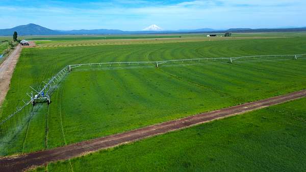 402 Acres of Agricultural Land for Sale in McArthur, California