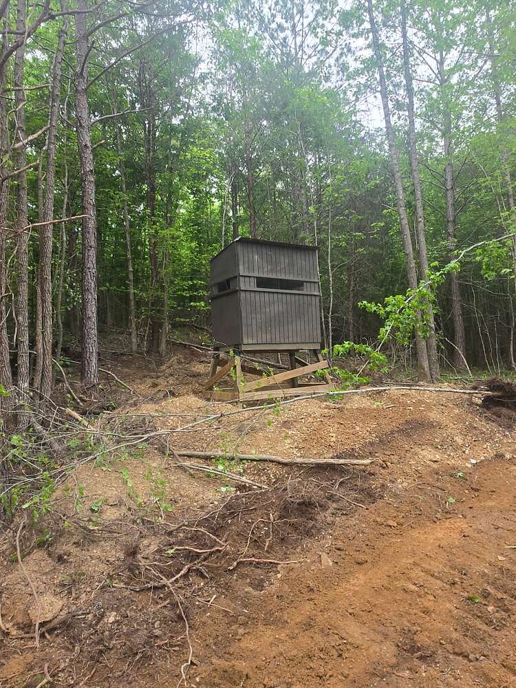 157 Acres of Recreational Land for Sale in Eldridge, Alabama