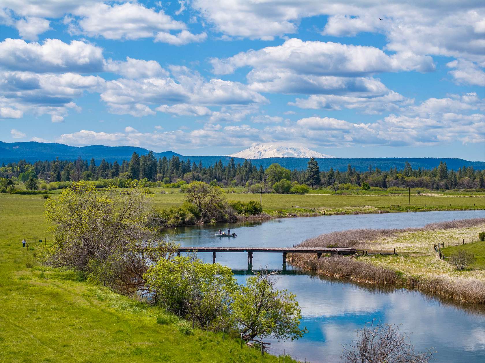 146 Acres of Land for Sale in Fall River Mills, California