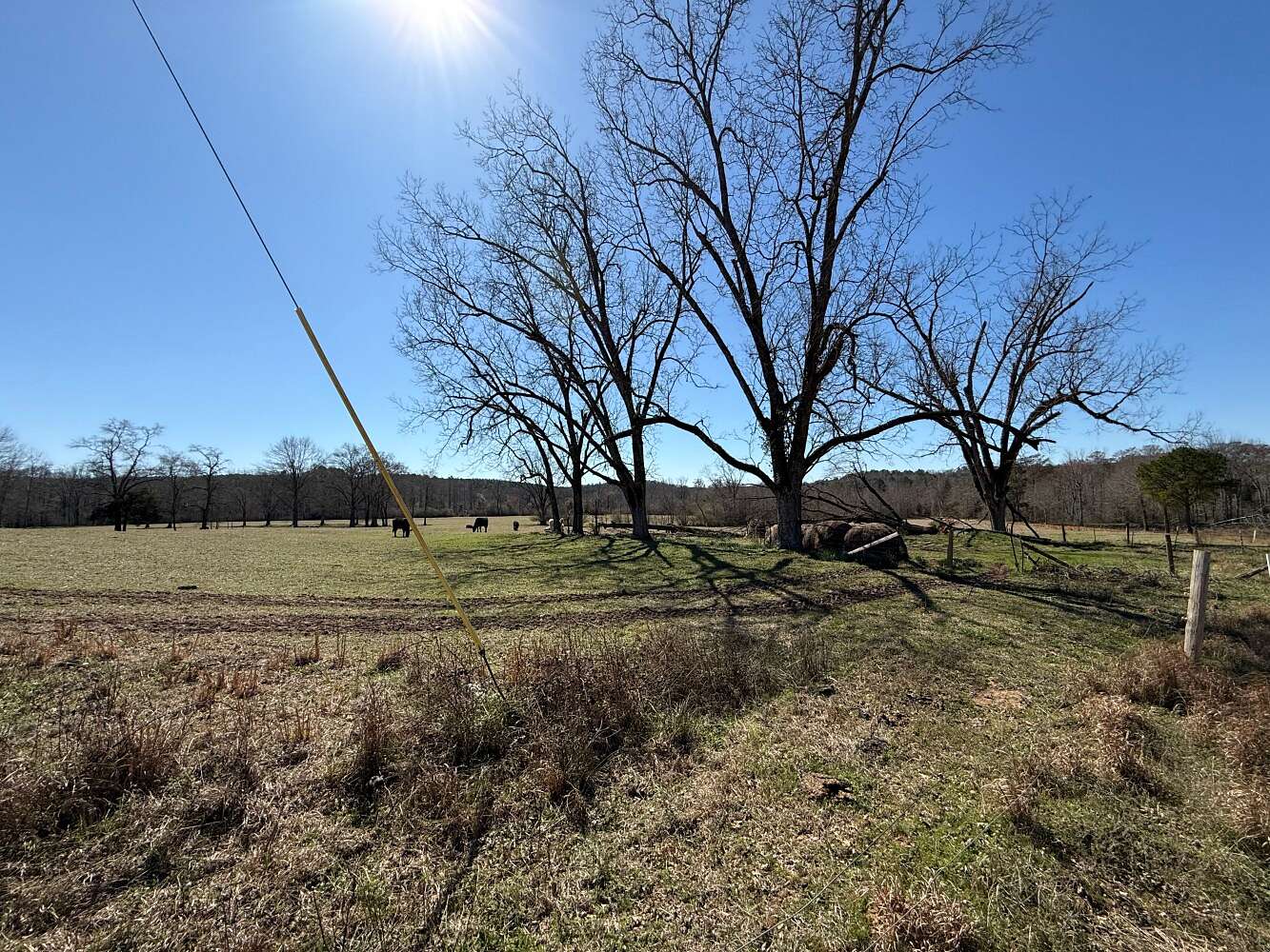 78 Acres of Recreational & Residential Land for Sale in Gordo, Alabama