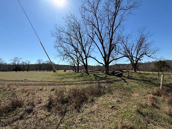78 Acres of Recreational & Residential Land for Sale in Gordo, Alabama