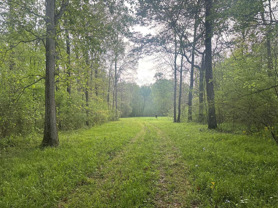 122 Acres of Recreational Land for Sale in West Point, Mississippi