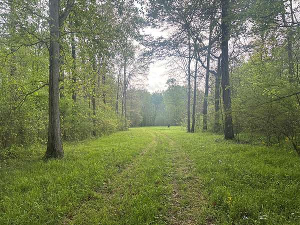 122 Acres of Recreational Land for Sale in West Point, Mississippi