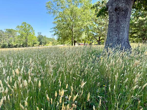 6.42 Acres of Residential Land for Sale in Easley, South Carolina