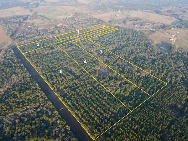 20 Acres of Land for Sale in Richton, Mississippi