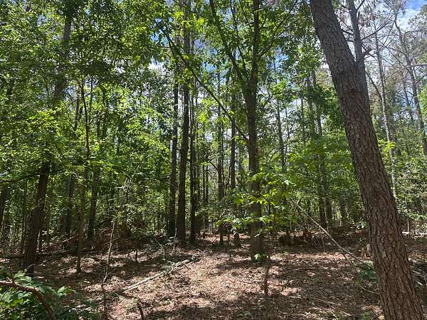 20 Acres of Recreational & Residential Land for Sale in Abbeville, Mississippi