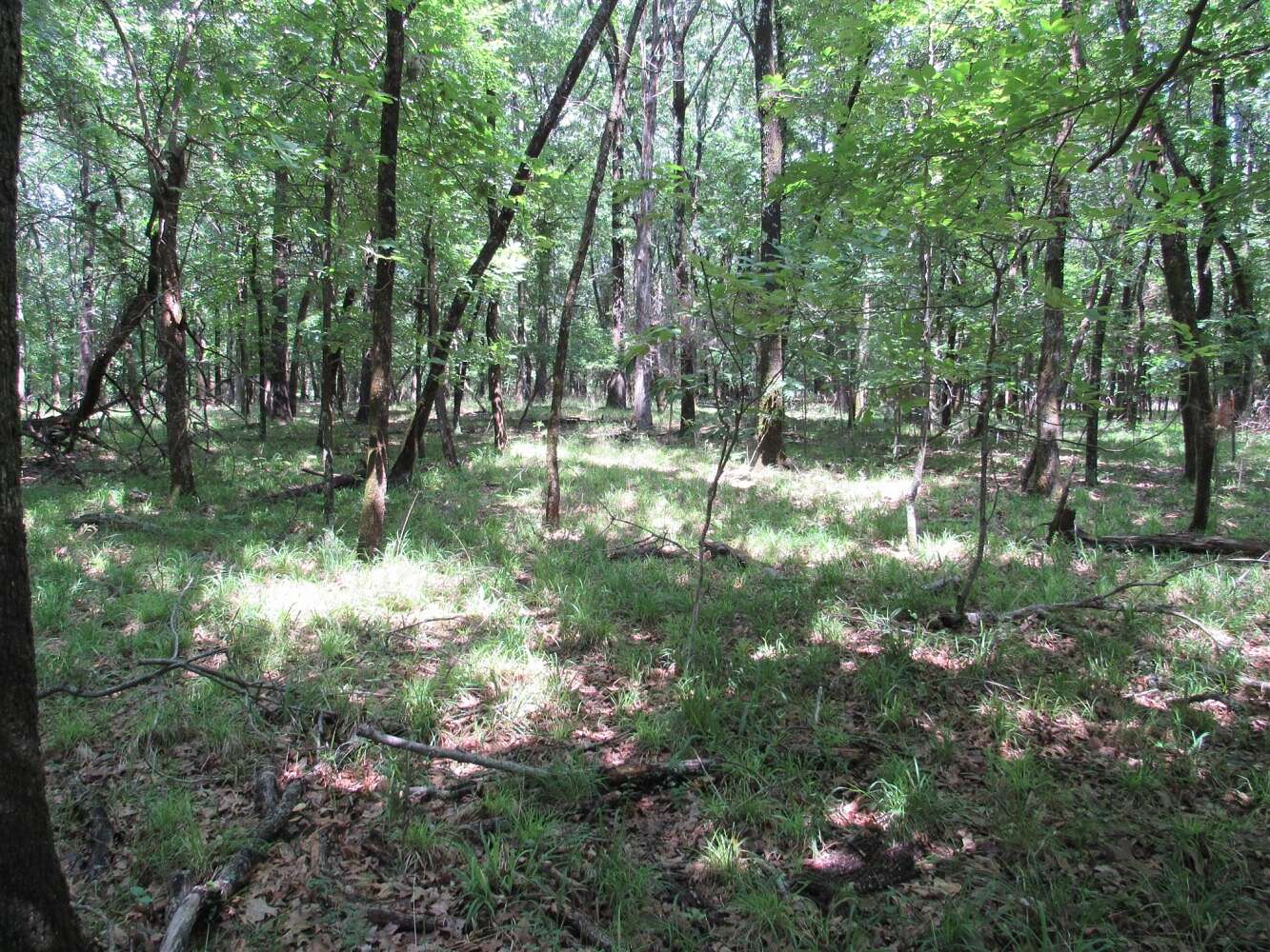 12.3 Acres of Land for Sale in Krebs, Oklahoma