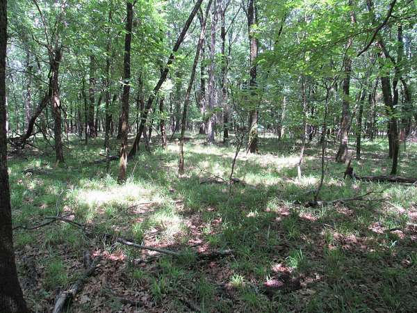 12.3 Acres of Land for Sale in Krebs, Oklahoma