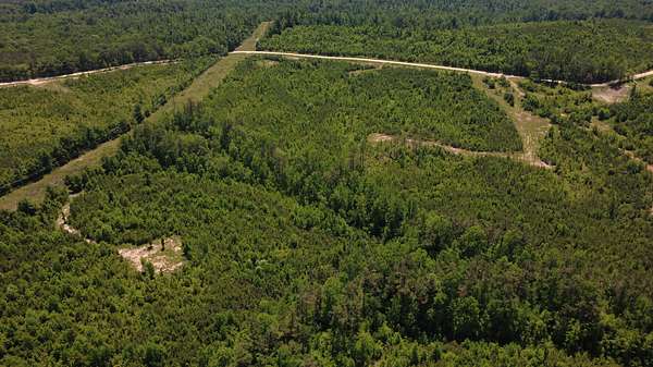 28.2 Acres of Recreational & Residential Land for Sale in Bath Springs, Tennessee
