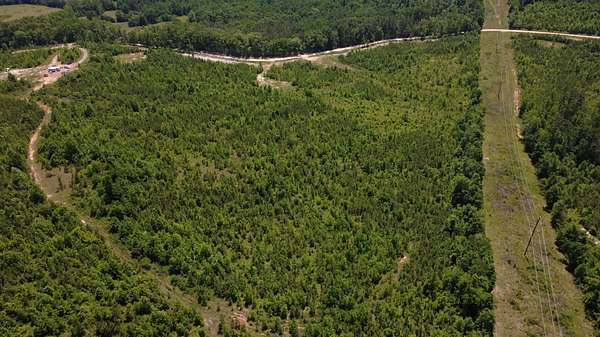 41 Acres of Recreational & Residential Land for Sale in Bath Springs, Tennessee