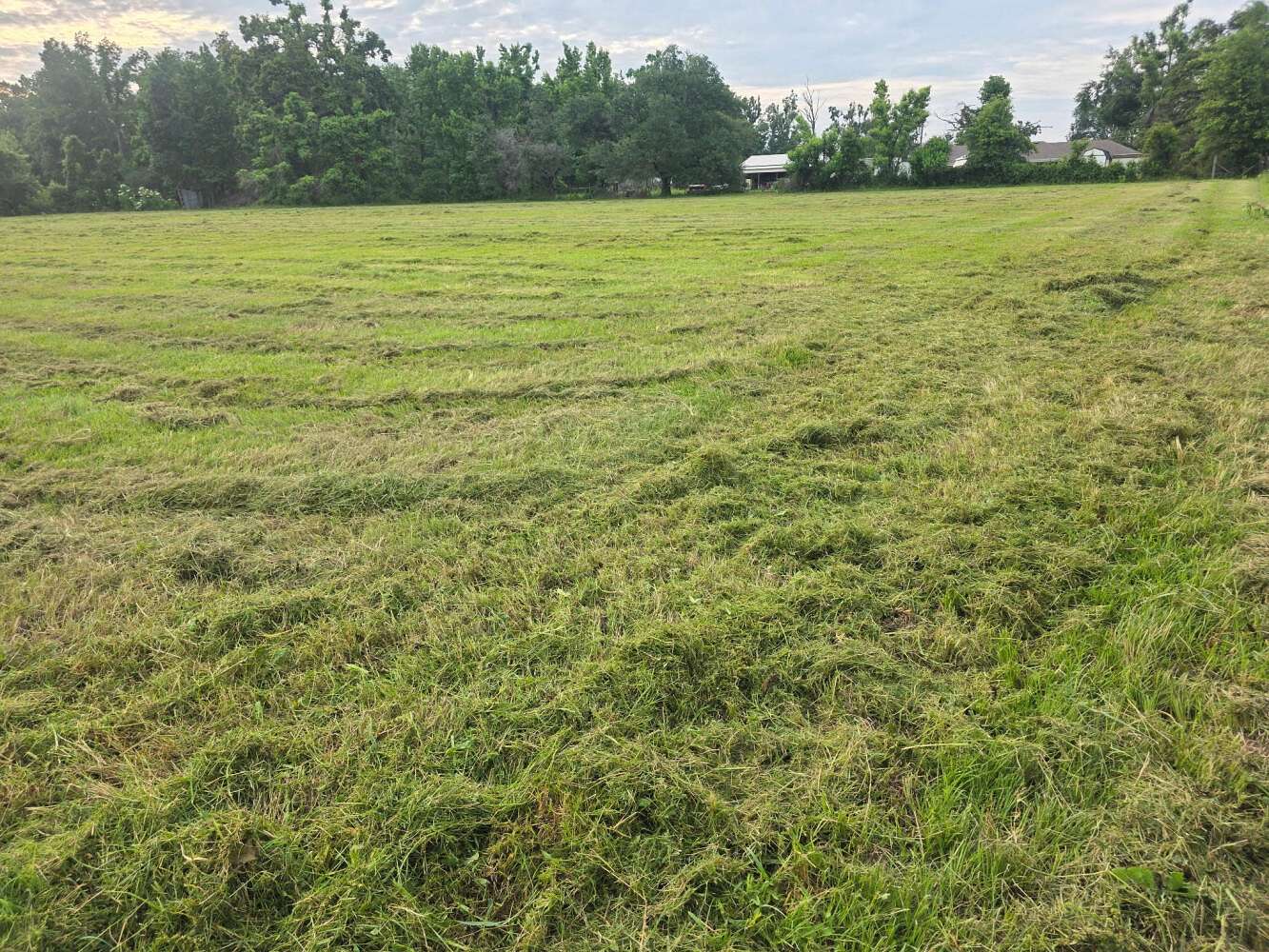 0.5 Acres of Residential Land for Sale in Epps, Louisiana
