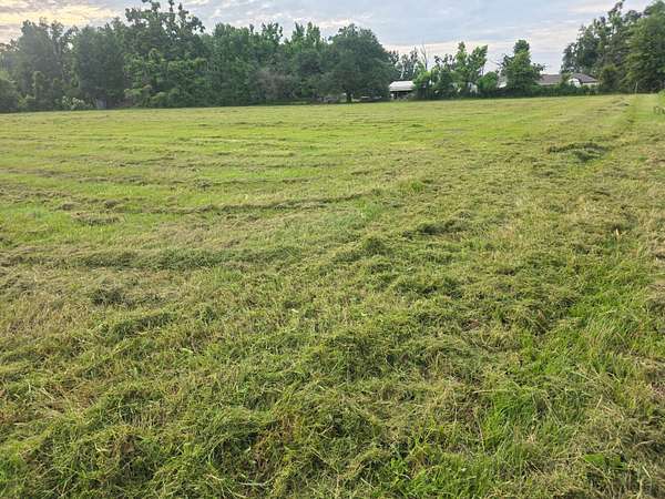 0.5 Acres of Residential Land for Sale in Epps, Louisiana