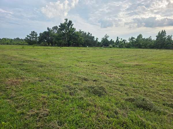 0.5 Acres of Residential Land for Sale in Epps, Louisiana