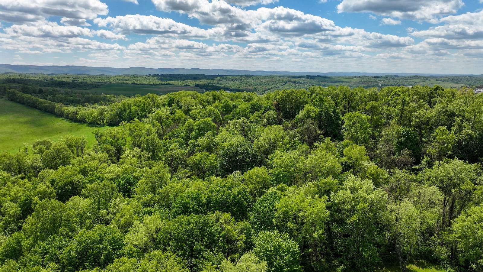 8.35 Acres of Residential Land for Sale in Masontown, Pennsylvania