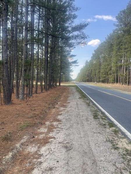 17.6 Acres of Land for Sale in Jackson Springs, North Carolina